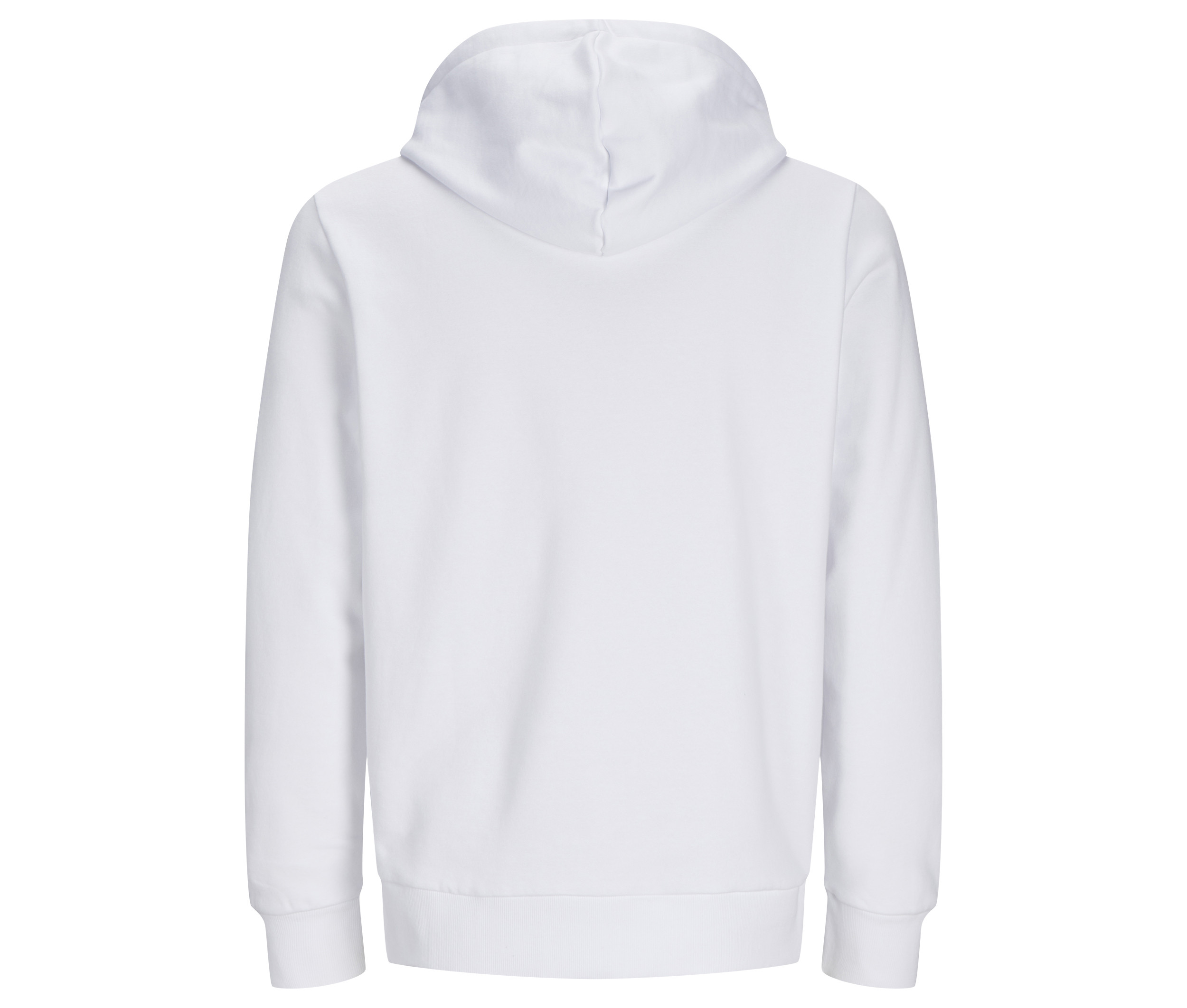 DAY ZIP HOOD